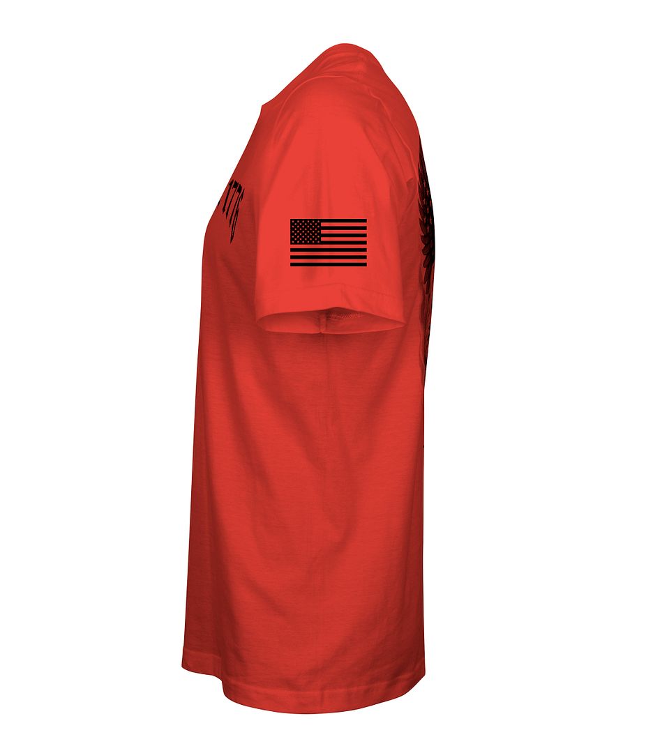 Spirit of 1776 T-Shirt